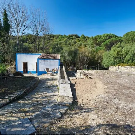 Sintra Watermill